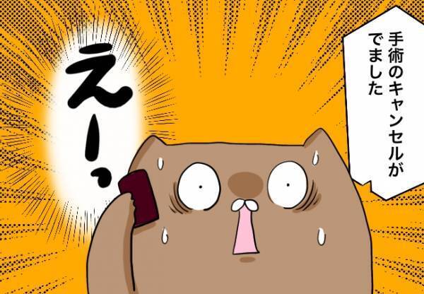 感傷的になっているとまさかの連絡【口唇口蓋裂ちゃん、育ててます75】