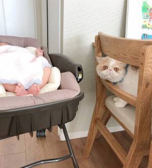 「…くっさ！」赤ちゃんのニオイを嗅いだ猫の反応が最高に面白かわいい♡