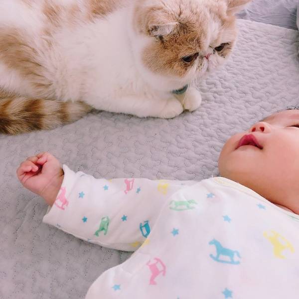 「…くっさ！」赤ちゃんのニオイを嗅いだ猫の反応が最高に面白かわいい♡