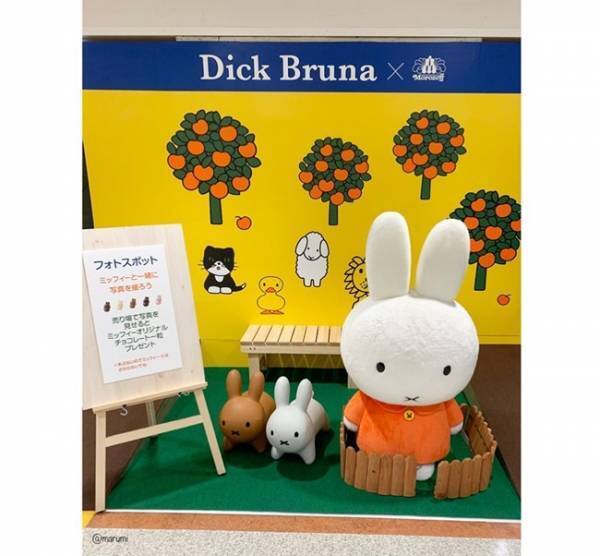 【ミッフィー】かわいすぎて震えが止まらない！超話題のミッフィーチョコ