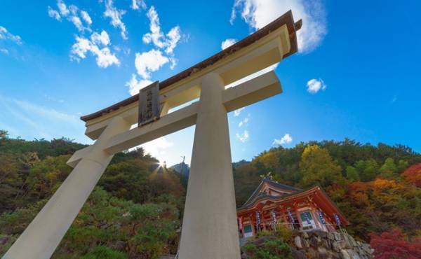 神頼みが功を奏した？ラストチャンスの人工授精でついに妊娠！【体験談】