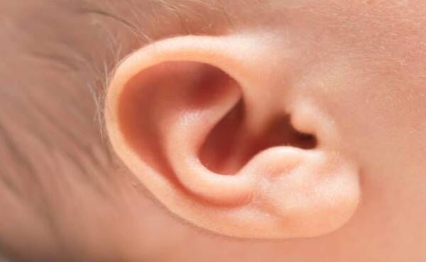 赤ちゃんの耳