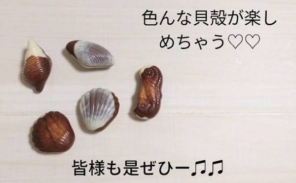 【業務スーパー】コスパも見た目も超最高♡なフォンダンショコラ＆チョコ