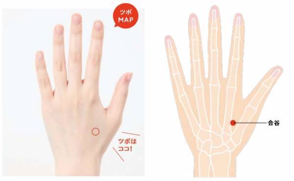 ズボラでもできたたった10秒でやせる！？ツボ押しダイエット【体験談】