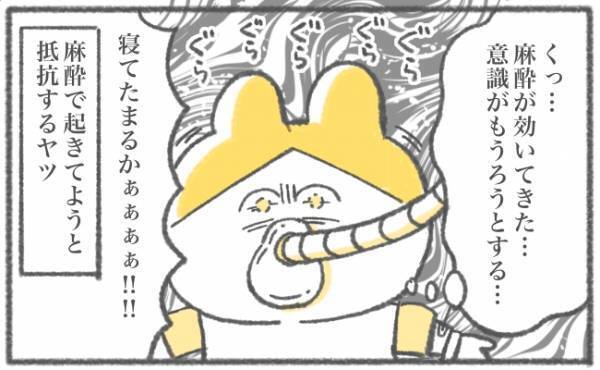 「寝てたまるか！」なぜか全身麻酔に抵抗しがち… #キヨの出産記録37