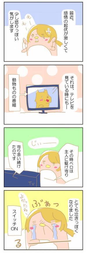 もしかして…これって妊婦あるある？【赤ちゃんがやってくる！24】