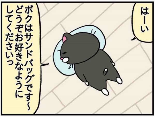 育児マジ大変すぎて夫の役割が日々これ。【ねこたぬのはじめて育児61】