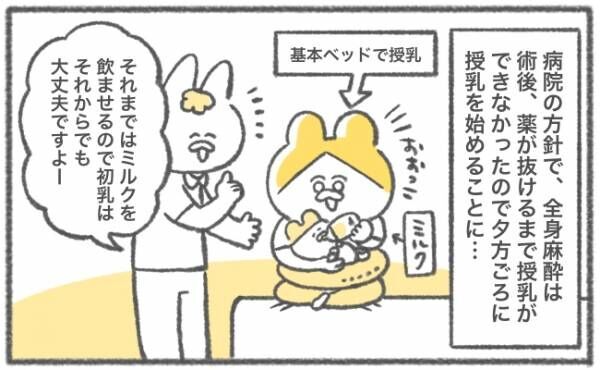 キヨの出産記録