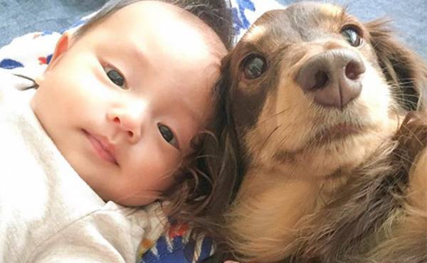 ちょっと愛重め？なワンコと赤ちゃんの縮まっていく距離に萌えキュン♡