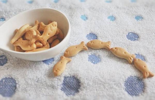 無印通がリピ買い！無印良品の100円以下のおいしいお菓子4選