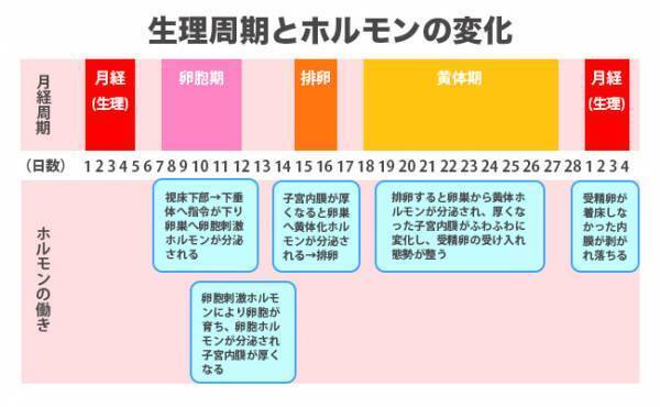 もしかして私、異常かも！？意外と知らない「普通の生理」の見極め方