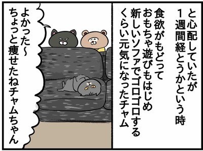 無事引っ越し完了！！さて、住み心地はいかに！？