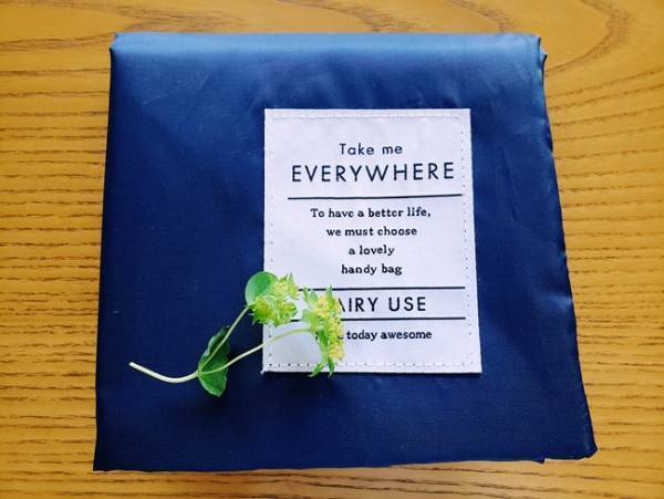 レジ袋がもうすぐ有料化！買い物かごバッグ、買うなら300円のコレ！