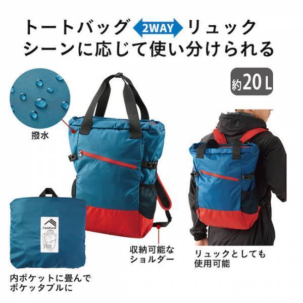 【ワークマン】これイイ！たっぷり入って雨に強い！本気のエコバッグに◎