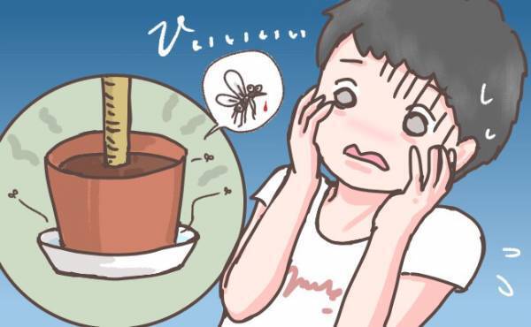 これからの時期に気を付けたい！外からの侵入を防ぐための虫対策