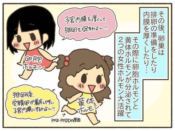 服用を決意！でも低用量ピルの働きが気になる…【PMDD体験談17】