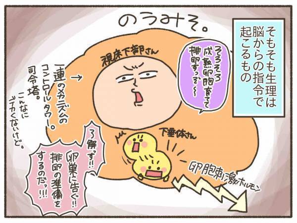 服用を決意！でも低用量ピルの働きが気になる…【PMDD体験談17】