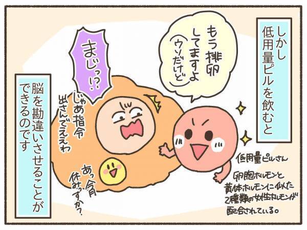 服用を決意！でも低用量ピルの働きが気になる…【PMDD体験談17】