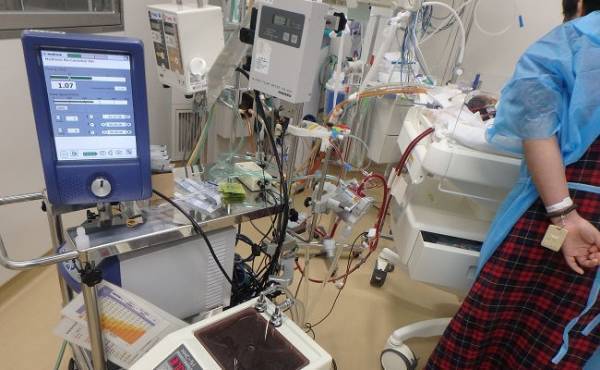 「生かされている」と感じた息子の姿。生まれてすぐに2回の手術を乗り越え