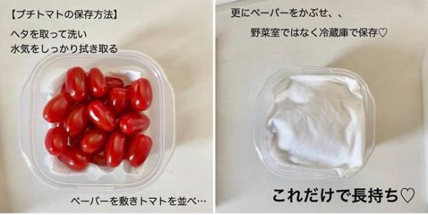 【100均節約】野菜室がスッキリで神！食材をムダにしない収納＆保存法