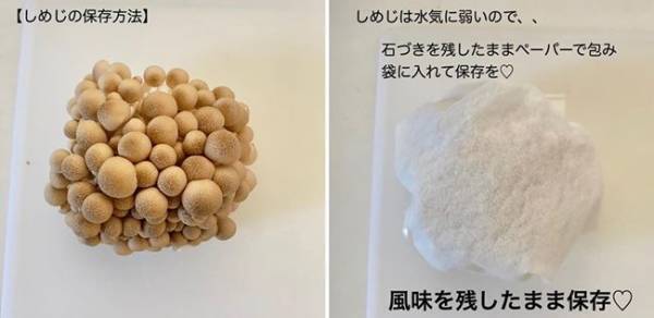 【100均節約】野菜室がスッキリで神！食材をムダにしない収納＆保存法