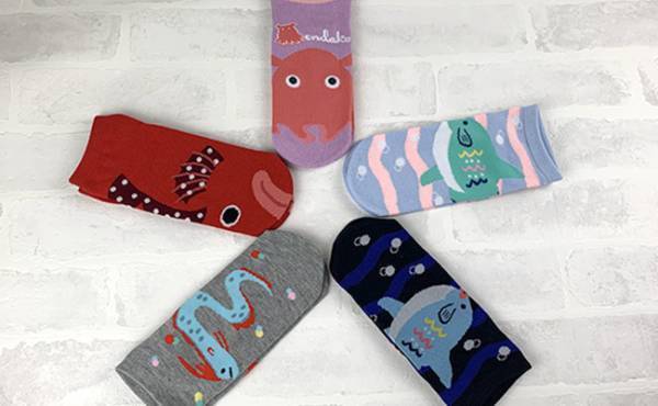 【100均】今キャンドゥがアツい！爆売れしてる話題の商品を買ってみた