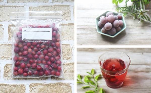 どっさり大容量！【コストコ新作】パリッと食感がおいしい注目商品は？