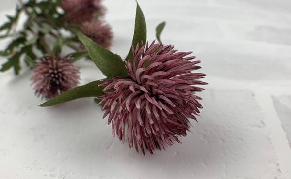 【100均】驚愕！お値段以上！キャンドゥの最新スマホ関連グッズが神すぎた