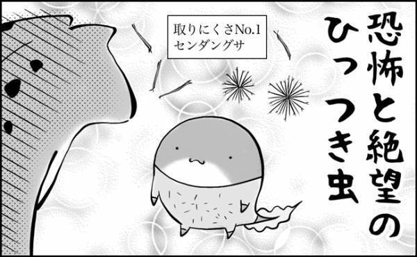 要注意！！子どものポケットに潜むトラップ？！《秋の子育てあるある》