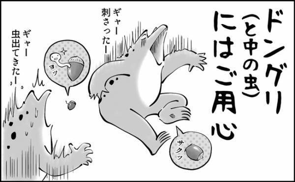 要注意！！子どものポケットに潜むトラップ？！《秋の子育てあるある》