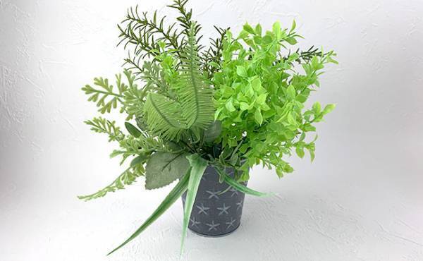 クオリティ高っ！【100均】のフェイクグリーンが本物感あって色々と使える件