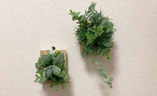 クオリティ高っ！【100均】のフェイクグリーンが本物感あって色々と使える件