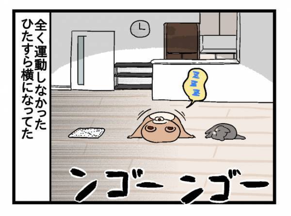 「ほら、だって寒いし」妊娠中に頑張れなかったこと #3