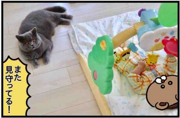 「我慢してる？」産後久しぶりに帰宅。クールなカレの反応は？ #17