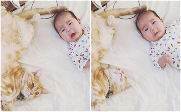 か、かわいさに震える…！0歳の赤ちゃんと猫のミルのやりとりが尊すぎ♡