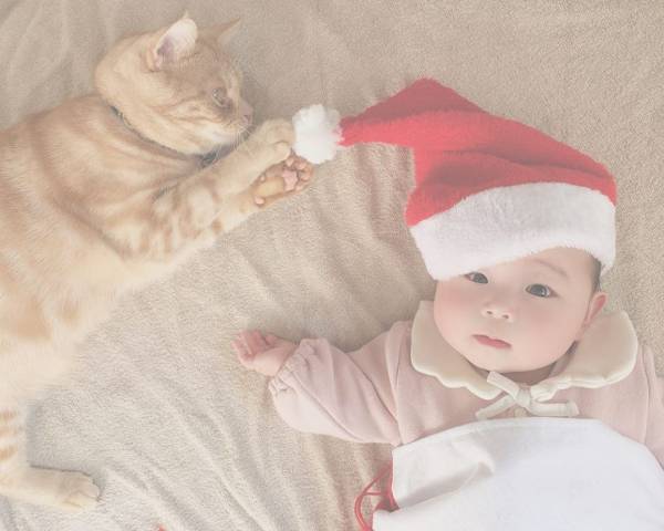 か、かわいさに震える…！0歳の赤ちゃんと猫のミルのやりとりが尊すぎ♡