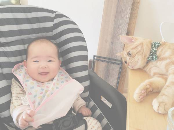 か、かわいさに震える…！0歳の赤ちゃんと猫のミルのやりとりが尊すぎ♡