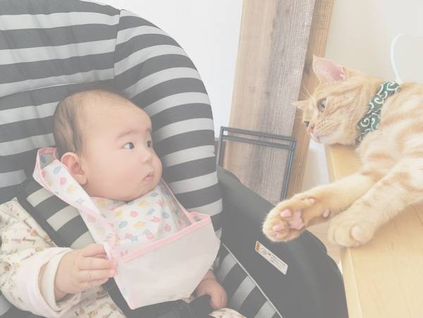 か、かわいさに震える…！0歳の赤ちゃんと猫のミルのやりとりが尊すぎ♡