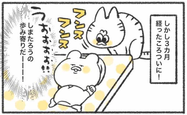 「ビクッ」飼い猫が赤ちゃんを警戒して押入れに引きこもり！？ふたりが打ち解けたのは… #57