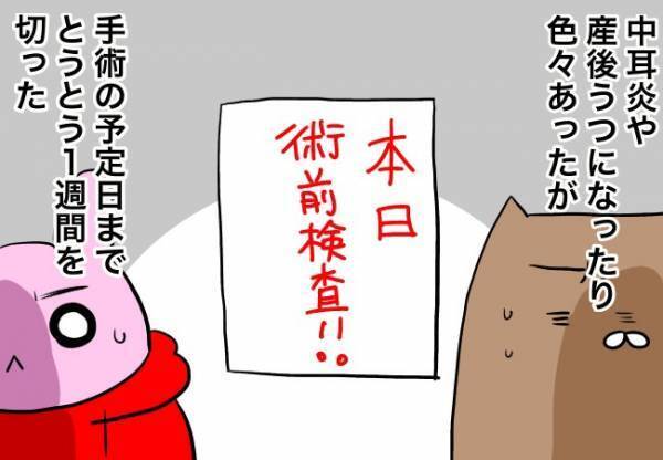 ついに術前検査！でも手術延期？！【口唇口蓋裂ちゃん、育ててます59】