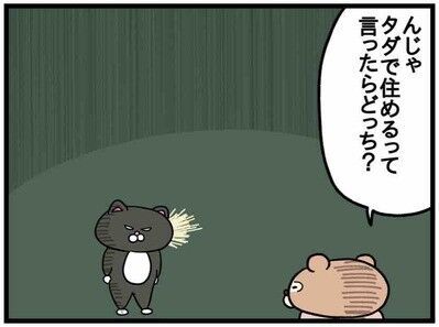 やはりタワマンは憧れなのか…【ねこたぬのはじめて育児48】5