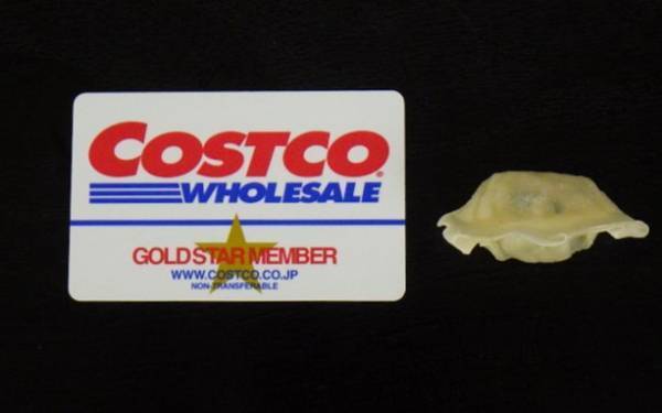 【コストコ】安くて極旨！ コストコに行ったら買うべき冷凍食品はこれ！