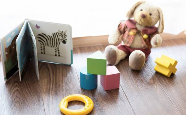 義母が色あせたぬいぐるみや虫が付いた絵本を持ってくる…【体験談】