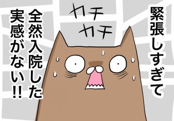 ついに入院！でも肝心な時に私が…【口唇口蓋裂ちゃん、育ててます77】