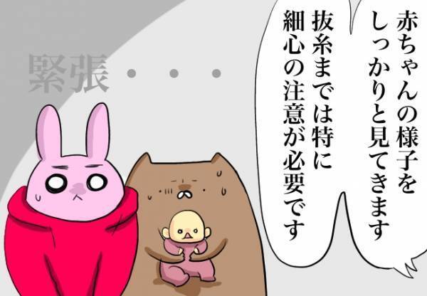 唇を縫合、鼻を持ち上げる？！【口唇口蓋裂ちゃん、育ててます79】