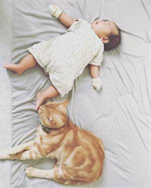 か、かわいさに震える…！0歳の赤ちゃんと猫のミルのやりとりが尊すぎ♡