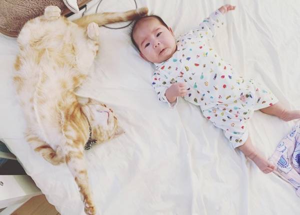 か、かわいさに震える…！0歳の赤ちゃんと猫のミルのやりとりが尊すぎ♡