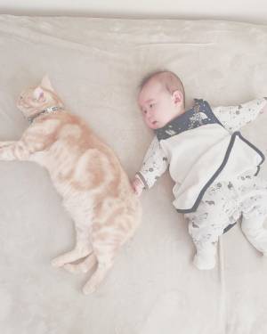 か、かわいさに震える…！0歳の赤ちゃんと猫のミルのやりとりが尊すぎ♡