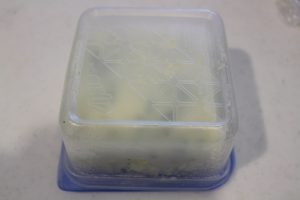 子どもがぺろり♪超簡単に作れる蒸しパンレシピ2選｜つくりおき食堂まりえ