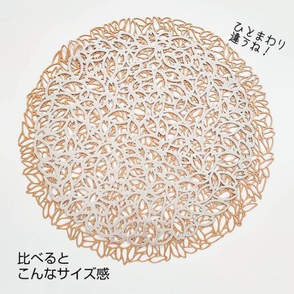 【100均】買わないという選択肢はないやろ♡あのブランドに激似の●●